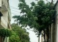 Rua Margarete Ober