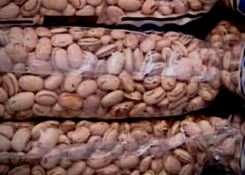 Os alimentos não-perecíveis vão para a “Campanha de Natal 2019”