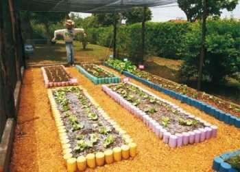 A horticultura pode ser feita em pequenos vasos, jardineiras e canteiros de uma casa
