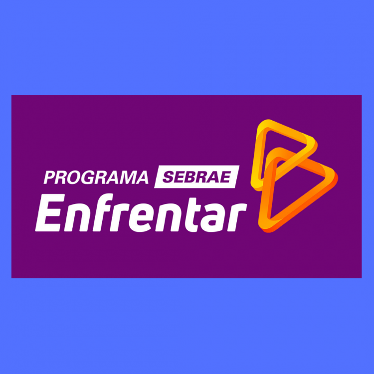 Sebrae dá início ao programa Enfrentar