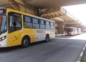 Orientação é para que as empresas realizem as viagens sem exceder a capacidade máxima de passageiros sentados