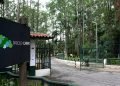 Parque do Carmo pode ganhar bosque em homenagem às vítimas da Covid-19