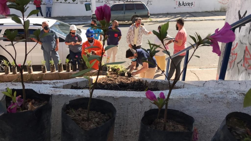 Plantio de mudas de árvores na Cidade Tiradentes