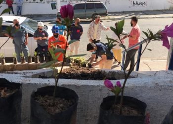 Plantio de mudas de árvores na Cidade Tiradentes