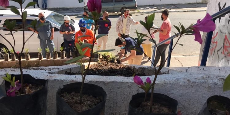 Plantio de mudas de árvores na Cidade Tiradentes