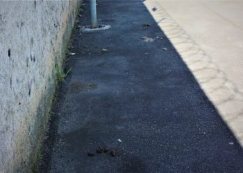 Em toda a ligação encontram-se fezes; problema é recorrente