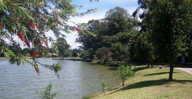 O Parque Ecológico do Tietê está aberto desde do dia 13 de julho