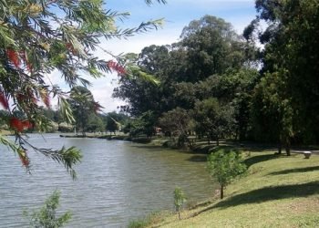 O Parque Ecológico do Tietê está aberto desde do dia 13 de julho