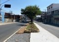 Passagem fica no canteiro central da avenida