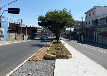 Passagem fica no canteiro central da avenida