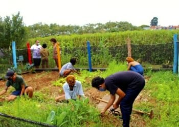 Horta Comunitária do Grupo da Mata