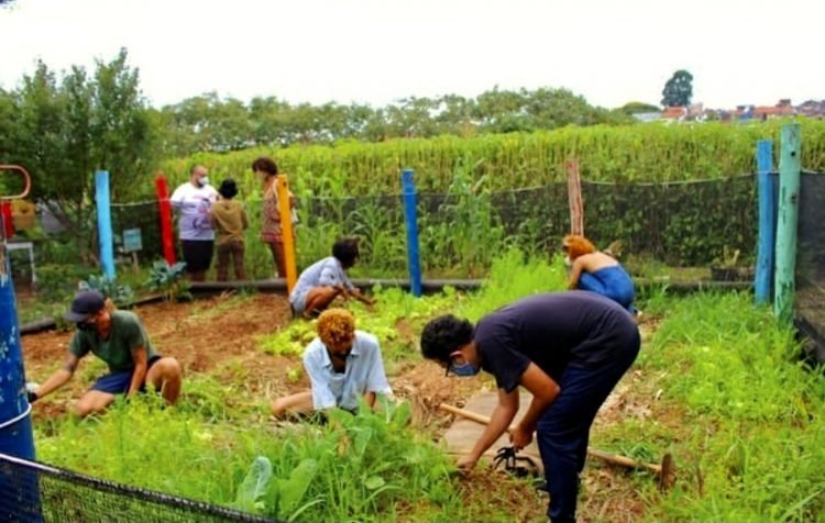 Horta Comunitária do Grupo da Mata