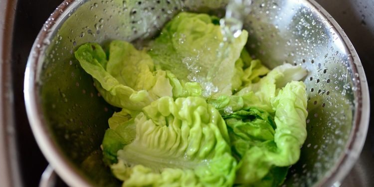 Para os alimentos consumidos crus, como vegetais folhosos, a orientação é deixá-los de molho, por 15 minutos