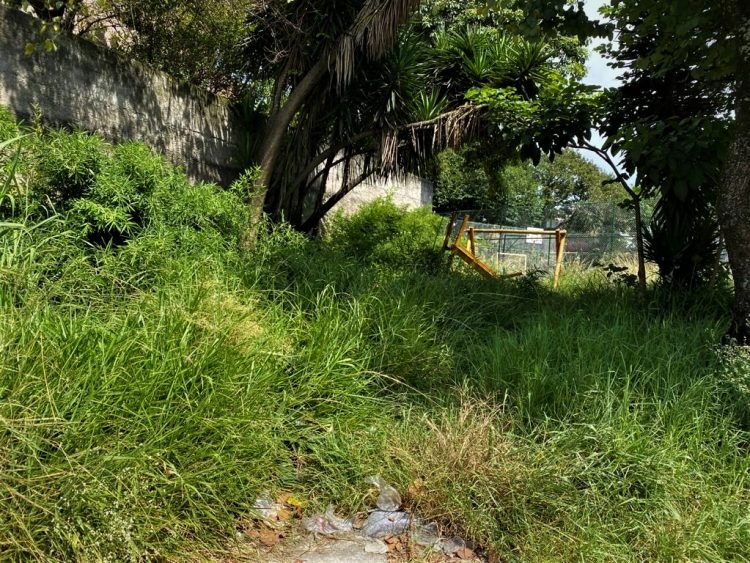 Praça na Rua Virgínia Ferni