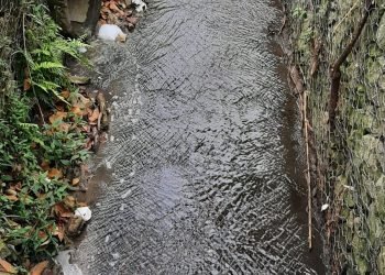 A governança colaborativa é uma das formas de organização comunitária adotadas pela Sabesp, dentro do Programa Córrego Limpo