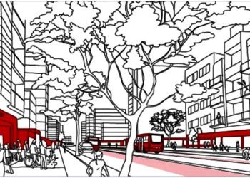 Revisão do Plano Diretor está de volta