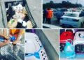 No total, 16 cães filhotes resgatados