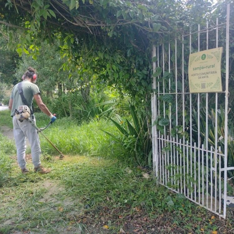 Horta da Mata, Grupo da Mata