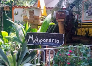 Meliponário é inaugurado no Pq. do Carmo