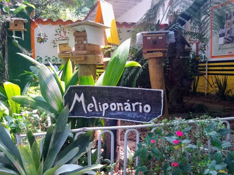 Meliponário é inaugurado no Pq. do Carmo