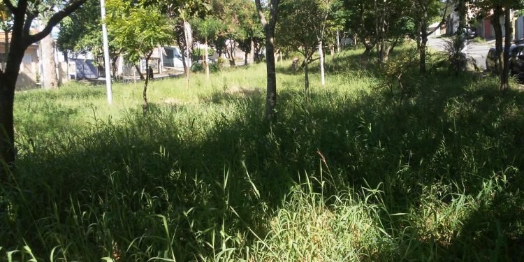 Praça Luiz Francisco Morgado na Avenida Caititu