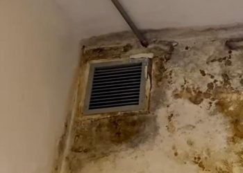 Vereador denuncia problema grave de infiltração no Planetário do Carmo