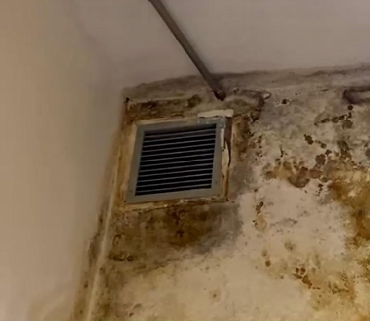 Vereador denuncia problema grave de infiltração no Planetário do Carmo