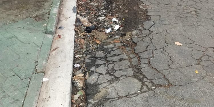 Rua Tubiba, esquina com a Avenida Caititu