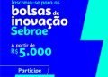 Sebrae abre inscrições para bolsistas