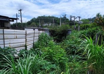 Córrego na Avenida Jacu-Pêssego com a Rua Tomoichi Shimizu