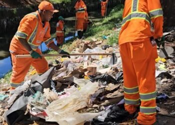 Descarte de lixo: de quem é a culpa?