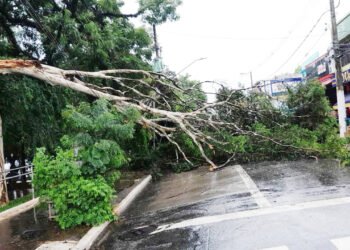 Enchentes e Ações Emergenciais