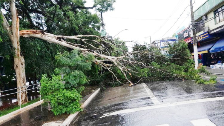 Enchentes e Ações Emergenciais