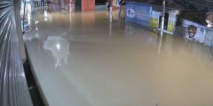 Comerciantes da Rua Padre Viega de Menezes, no centro de Itaquera, sofrem há anos com alagamentos frequentes