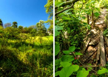 Parque Savoy City na Zona Leste