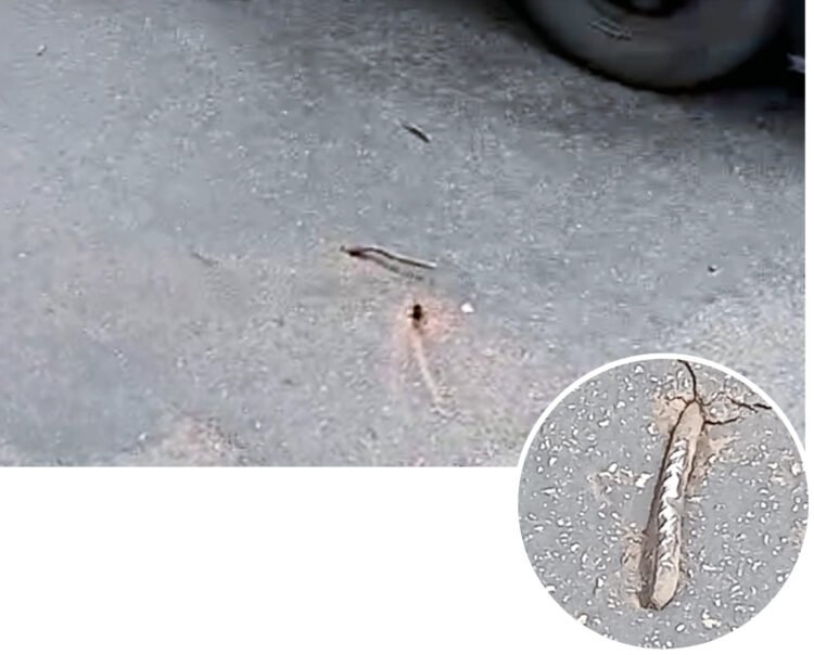 Vergalhões expostos na Rua em Itaquera preocupam moradores e motoristas