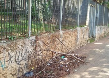 Subprefeitura de Itaquera remove galhos na Rua Gregório Ramalho após denúncia