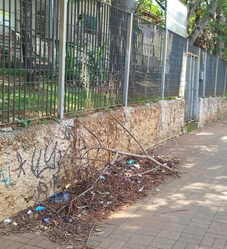 Subprefeitura de Itaquera remove galhos na Rua Gregório Ramalho após denúncia