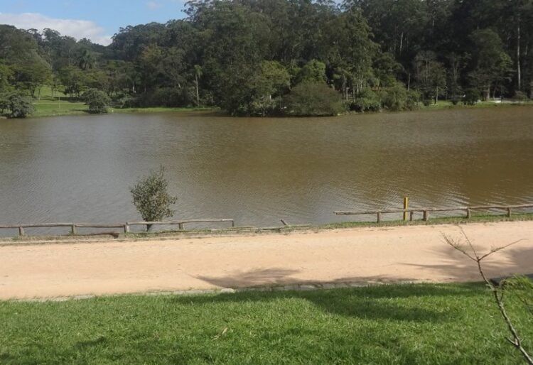 Parque do Carmo sofre com falta de manutenção e segue sem melhorias após denúncias