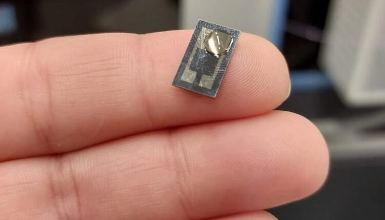 Tecnologia brasileira detecta metástase de câncer de boca pela saliva com auxílio de inteligência artificial