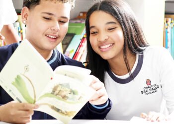 Consulta pública na educação