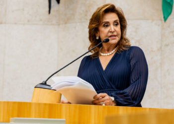 Lei da Dra. Sandra Tadeu cria Cadastro Único de Violência Doméstica