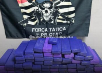🚨 APREENSÃO RECORDE no Cangaíba! 🚨