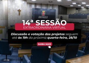 Câmara de SP aprova 46 projetos em sessão virtual