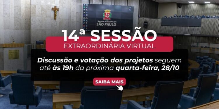 Câmara de SP aprova 46 projetos em sessão virtual