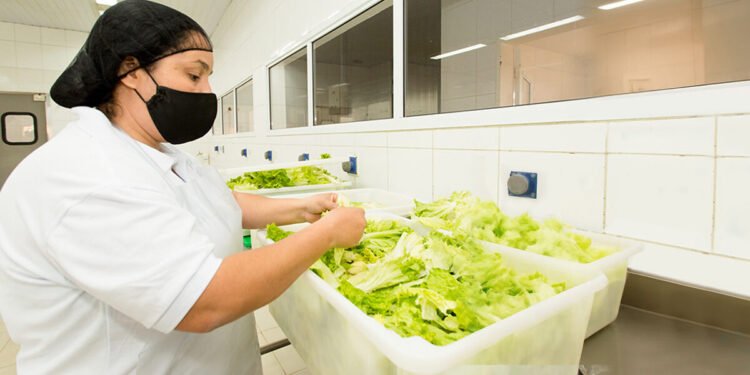 Estado de SP tem 1,8 mil vagas de emprego no setor de alimentação nesta semana; confira