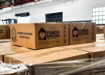 Governo de SP envia ajuda humanitária a Monte Mor após cheia do Rio Capivari nesta quarta-feira (28)